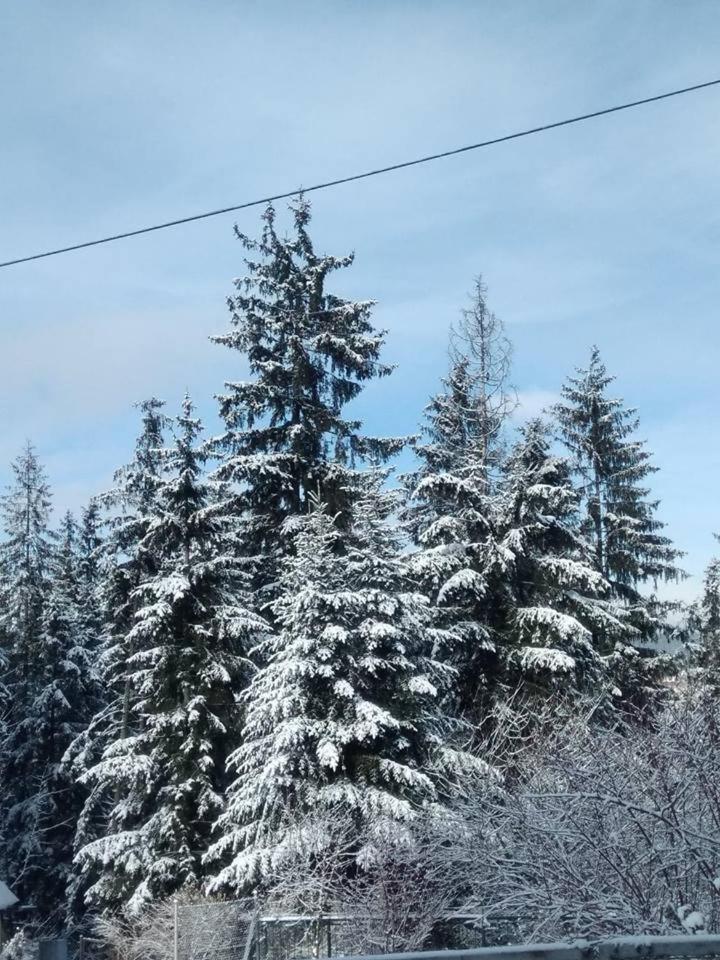 Cicha Dolinka * Zakopane